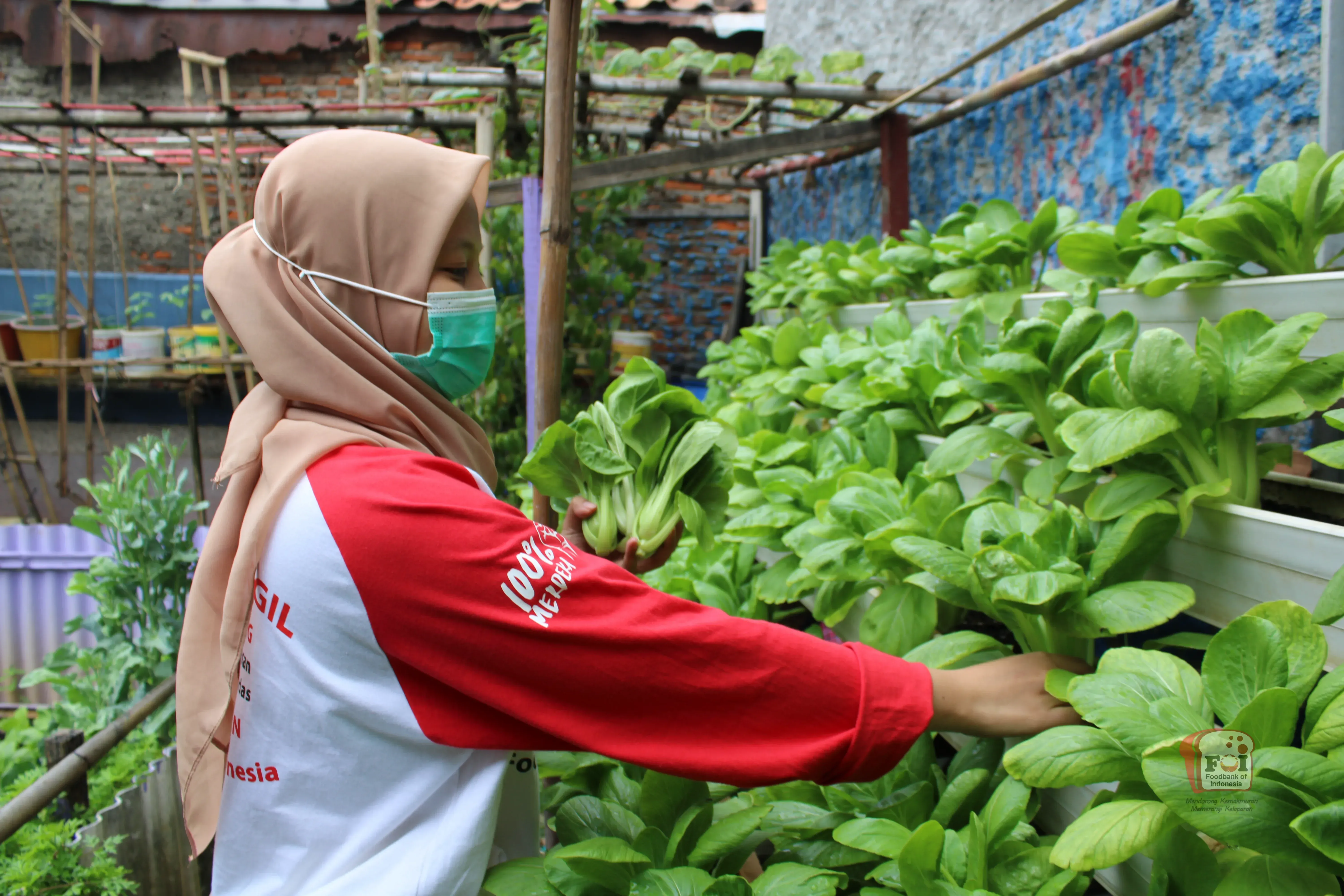 Dokumentasi program Kebun Pangan Komunitas