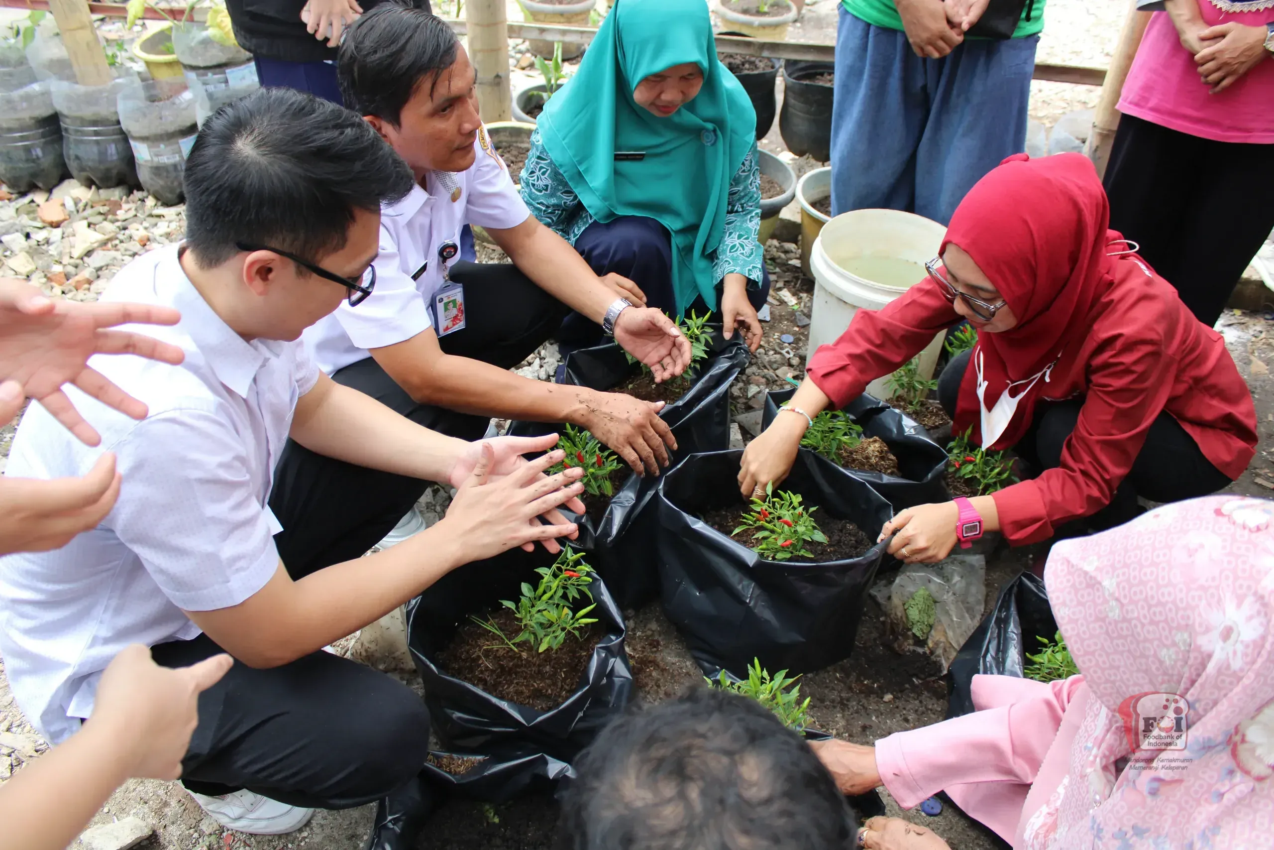 Dokumentasi program Kebun Pangan Komunitas